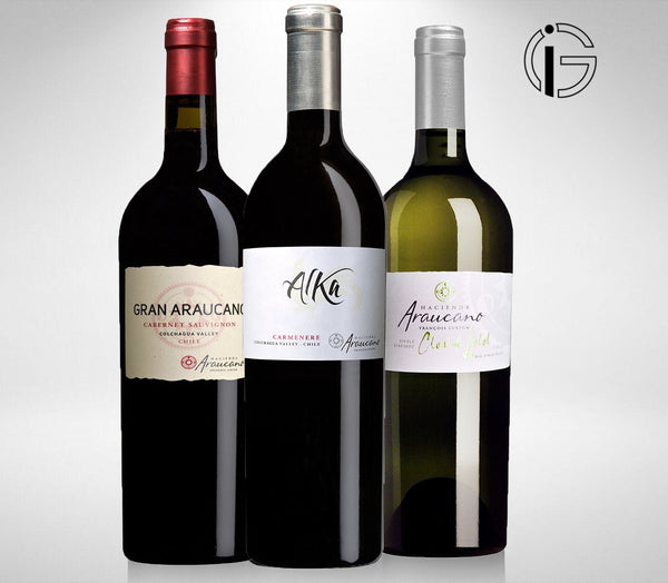 Chile premium wine set of 2 red