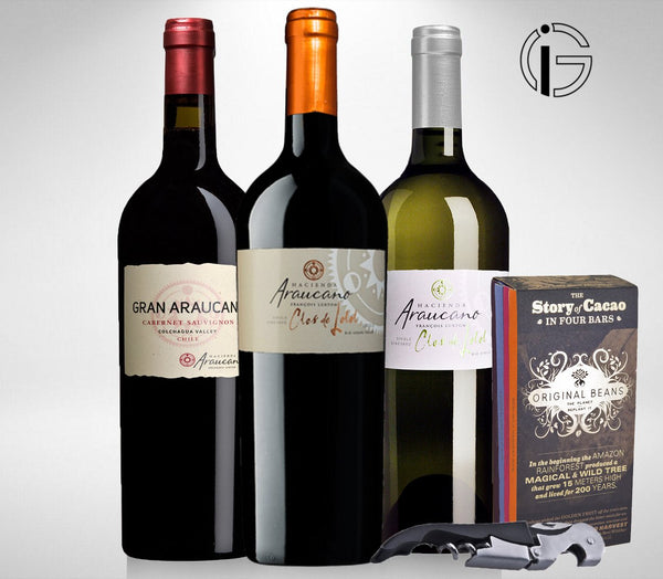 Chile premium wine set
