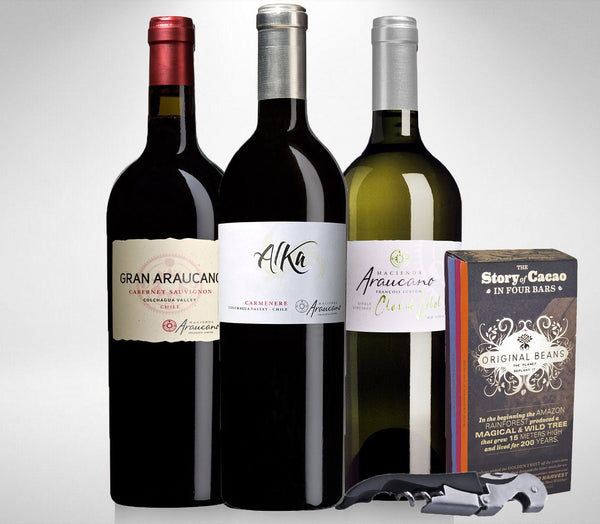 Chile premium wine set of 2 red