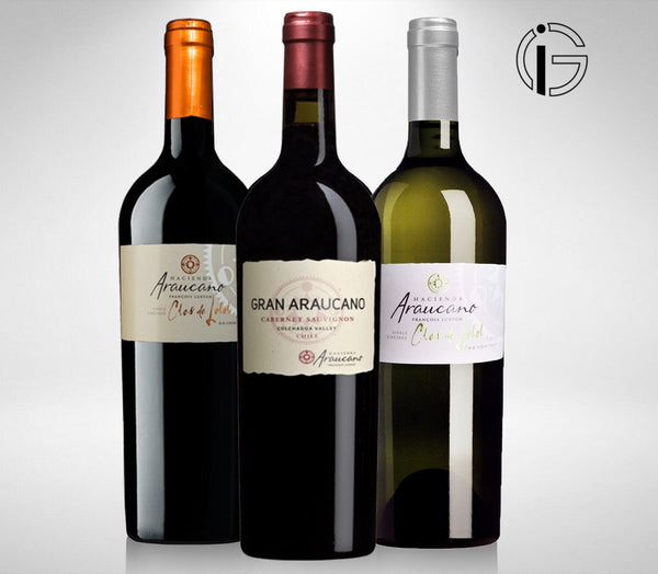 Chile premium wine set