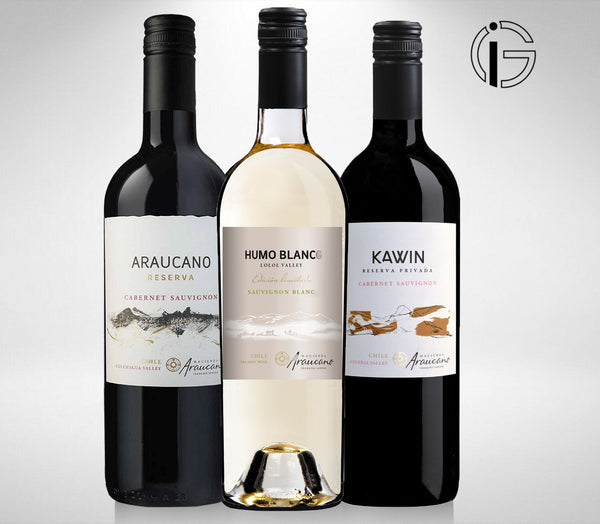 Chile wine set