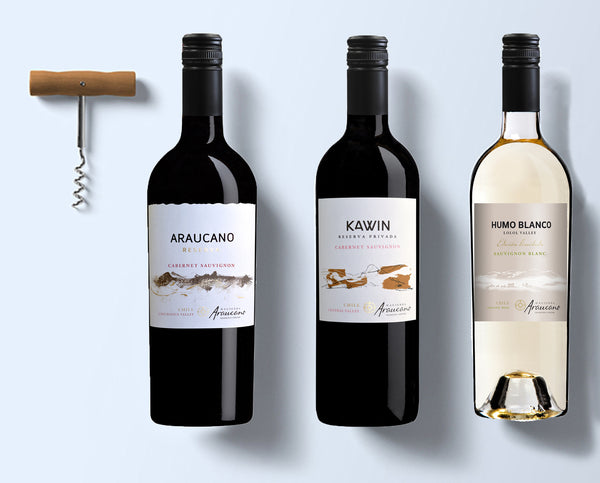 Chile wine set